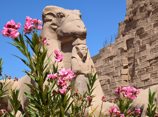 0022_Magic Arabia_Schoene Aussichten Touristik_Gaia Dahabiya_karnak-1378563_1280